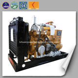 CE Approved 10kw-1000kw Power Generator Natural Gas Generator