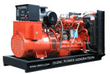 20kw- 1200kw Household Type Biogas Power Generator