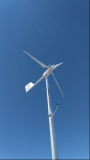 CE Approve Small Windmill for Power Supply